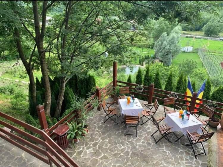 Doftana Apartaments Teşila 외부 사진