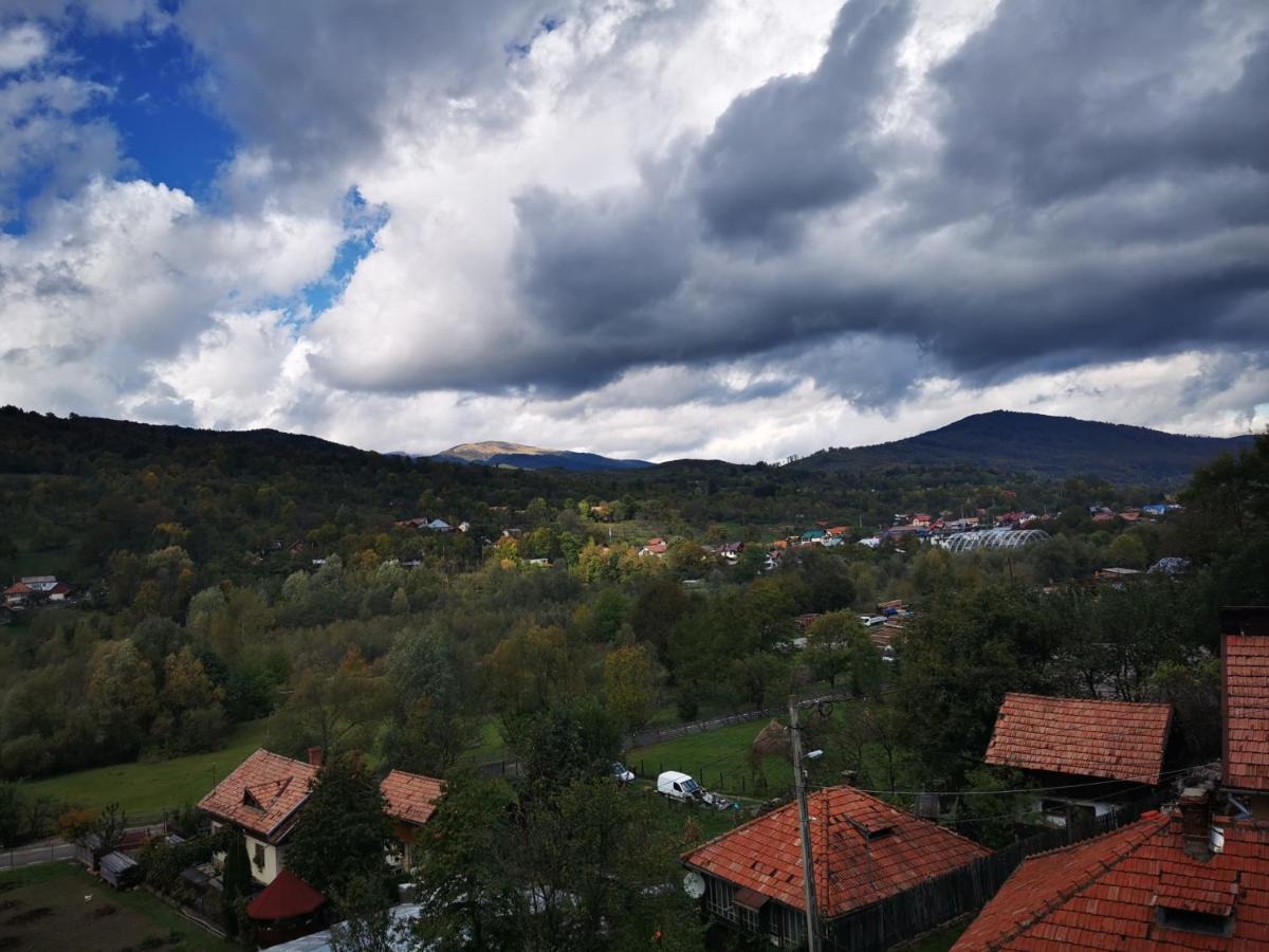 Doftana Apartaments Teşila 외부 사진