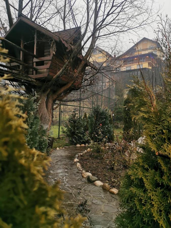 Doftana Apartaments Teşila 외부 사진