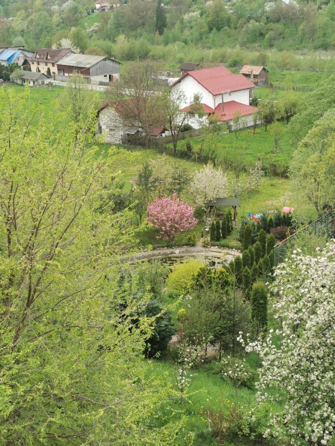 Doftana Apartaments Teşila 외부 사진
