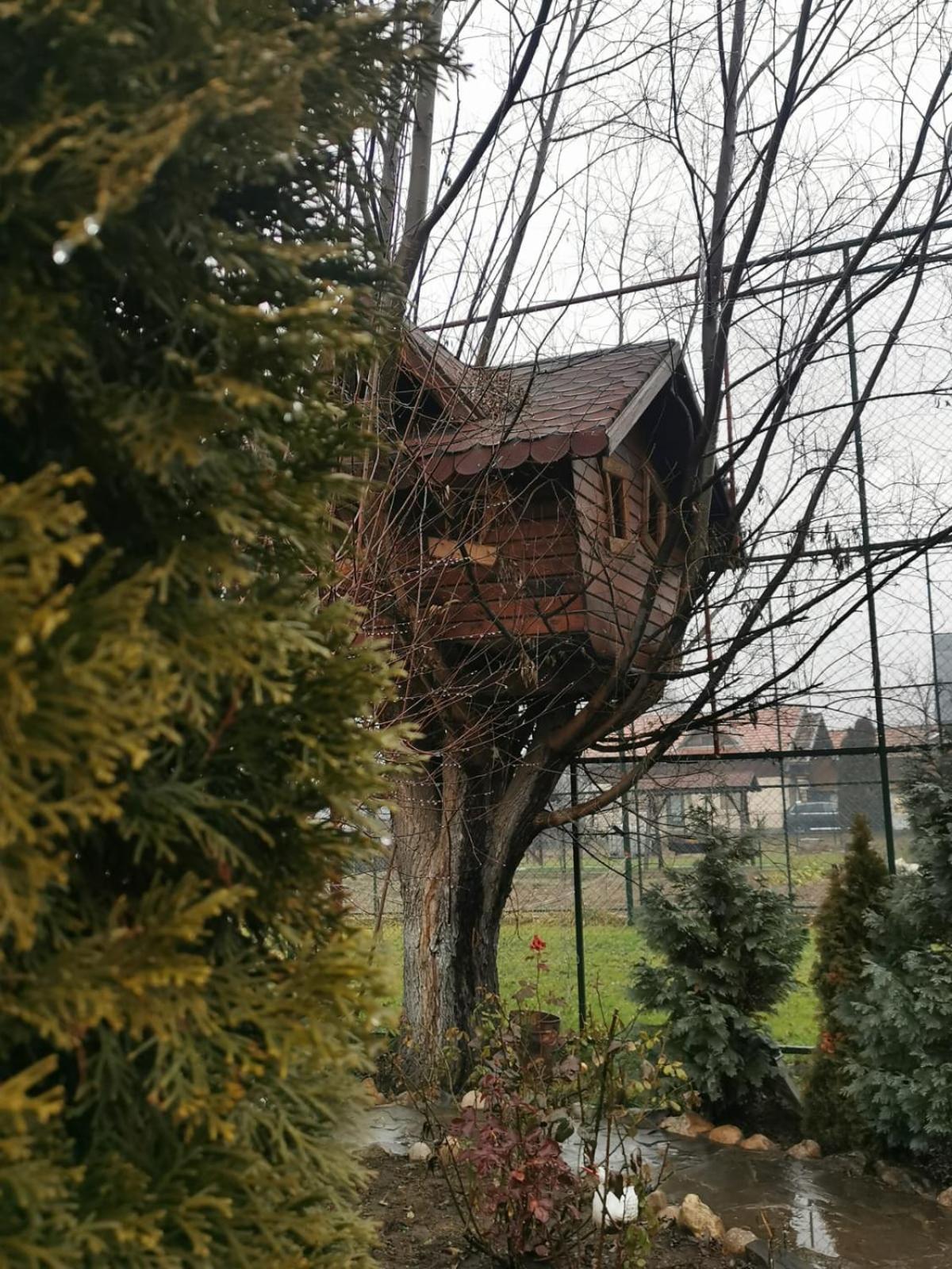 Doftana Apartaments Teşila 객실 사진