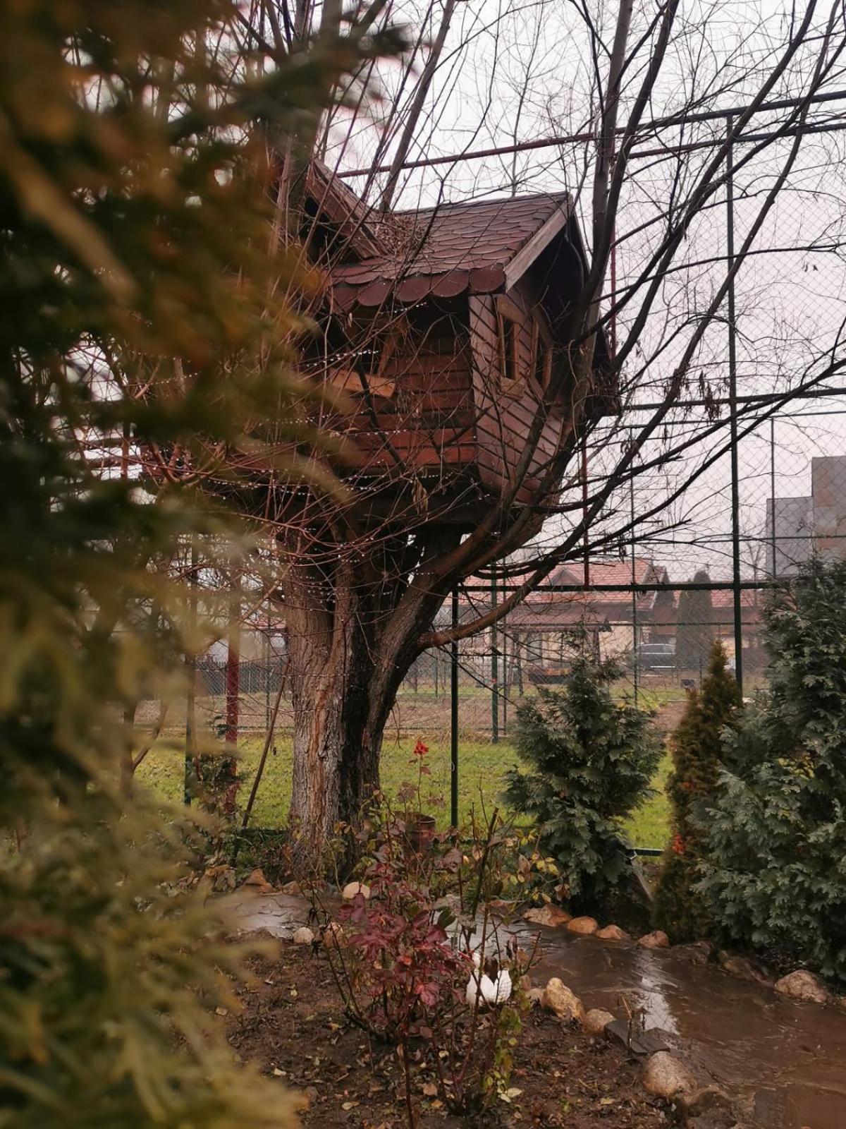 Doftana Apartaments Teşila 객실 사진