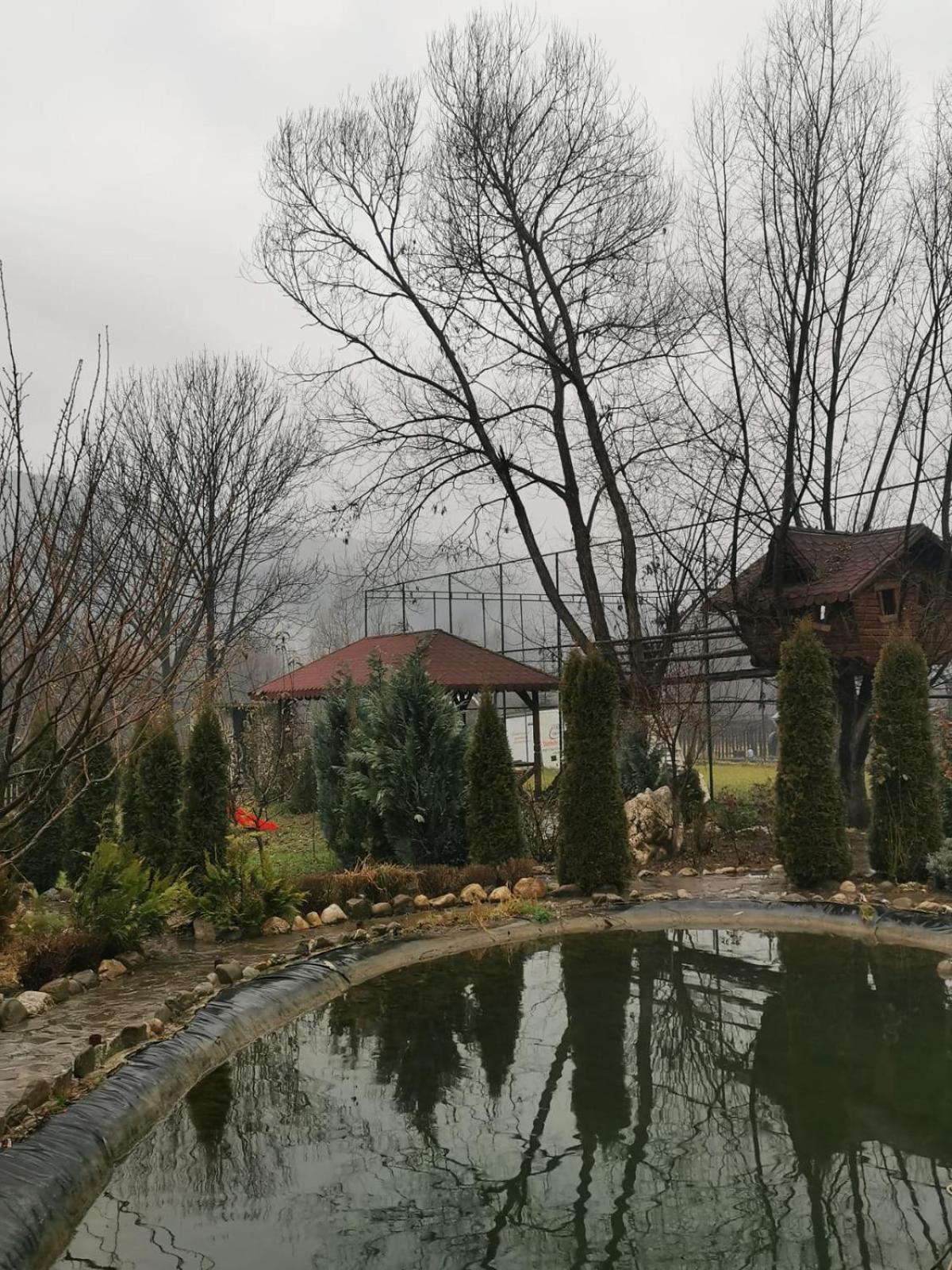 Doftana Apartaments Teşila 객실 사진